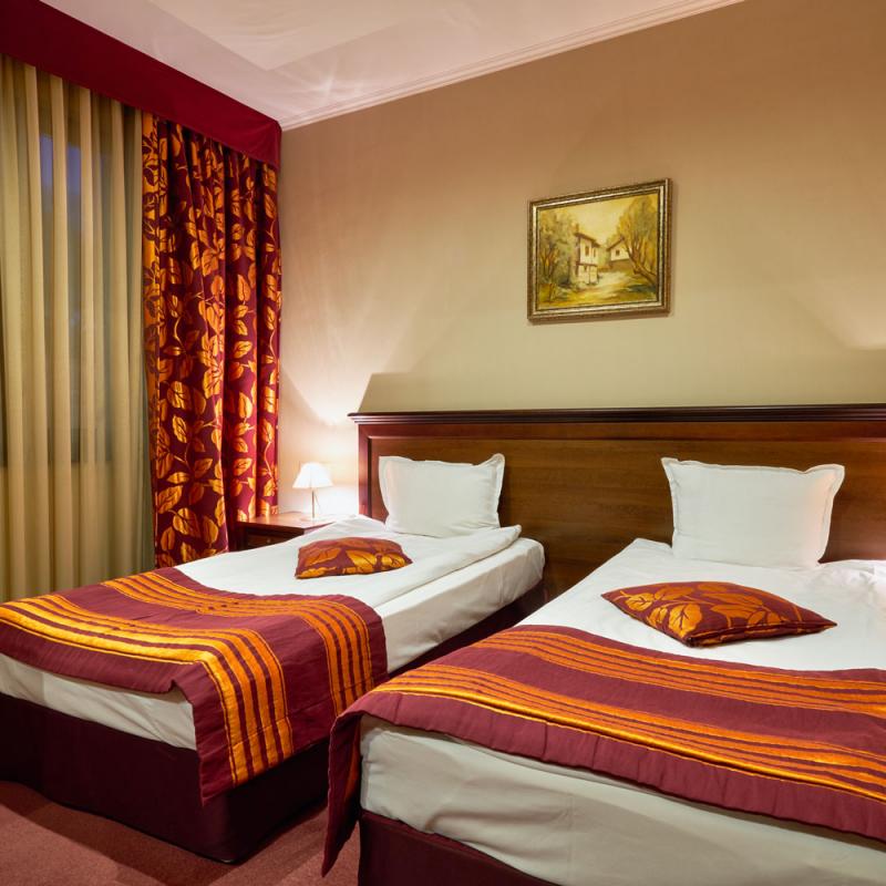 Standard Room (TWIN) Standard Room (TWIN)